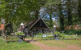 Erve Nijkamp